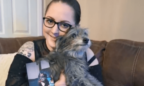 Woman Who Had To Give Up Puppy As A Child Unknowingly Adopts The Dog In Adulthood