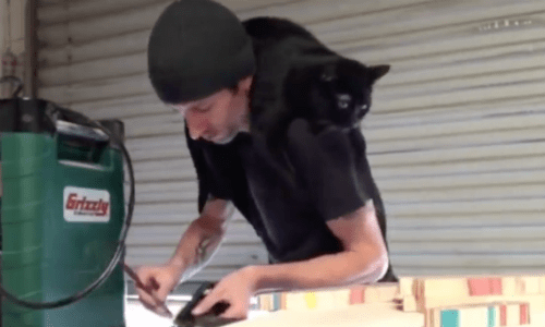 A Tiny Kitten Walks Into A Man’s Life And Becomes His Best Friend