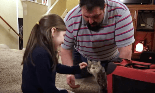 After Being Rescued From The Cold, A Cat Finds A Great Home