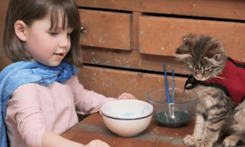 Autistic Little Girl Who Had Never Spoken A Word Transforms When She Adopts A Kitten