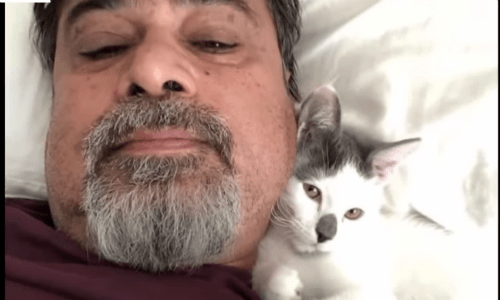 Daughter Asks Dad To Watch Cat For A Week And He Falls In Love With It