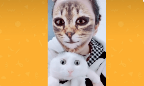 Cats Don’t Know What To Think Of A Cat-Faced Snapchat Filter