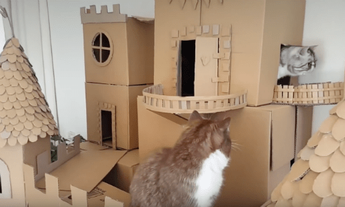 Check Out Some Of The Coolest Cat Homes You’ll Ever See