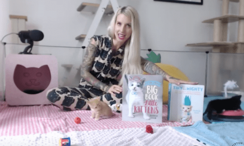 Teach Your Children All About Cats With This Educational Video With Books