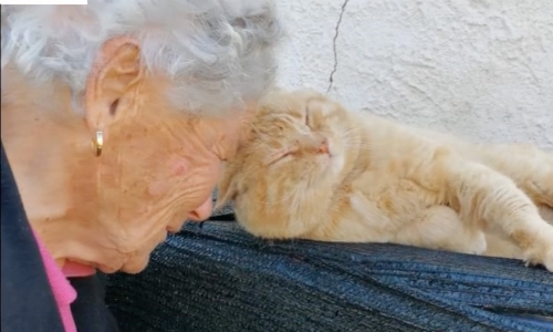 Cat And Senior Woman Who Were Separated By An Earthquake Get Reunited