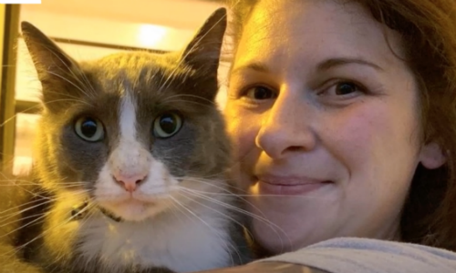 Woman Finds Clothing Behind Her House And Discovers Her Cat’s Strange Hobby